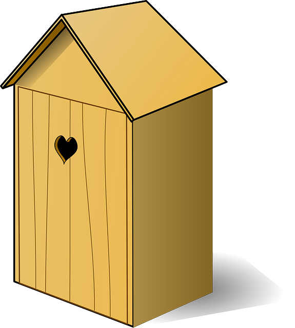 Lady falls into outhouse hole- whom do you sue?
