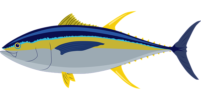 The doctor, the lawyer and the tuna-a fish story