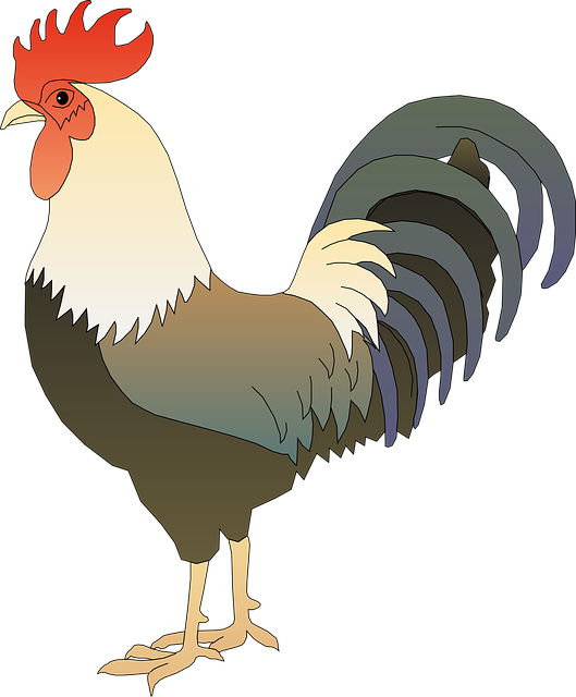Do lawyers ever chicken out?