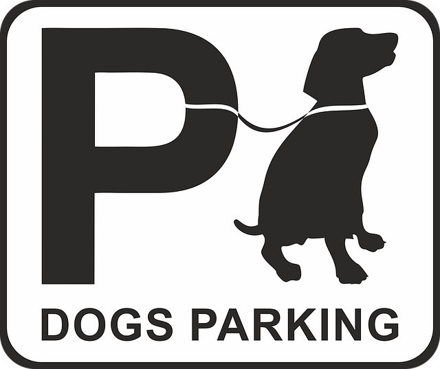 Do not park your stolen car here!