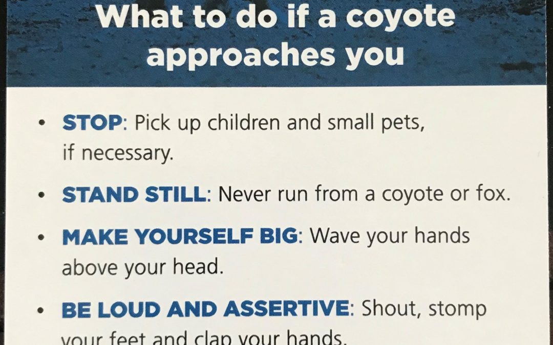 Coyote conduct clarified